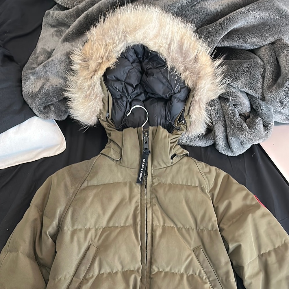 Olive green canadian goose bomber